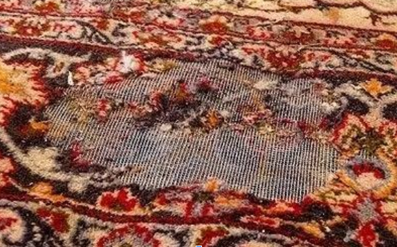 علائم وجود بید فرش